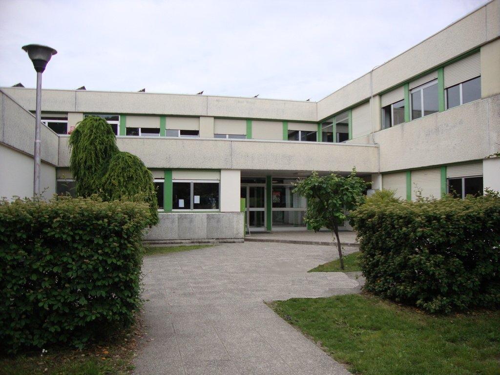 Immagine per Staranzano sempre più green: «Decarbonizzazione ed efficientamento energetico»